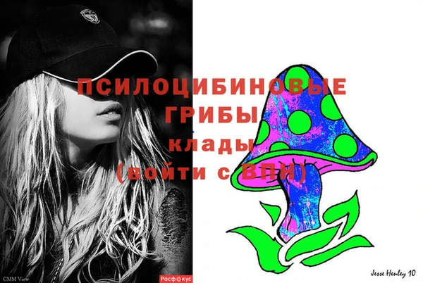 гашик Абаза