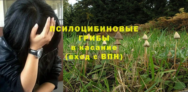 2c-b Абинск
