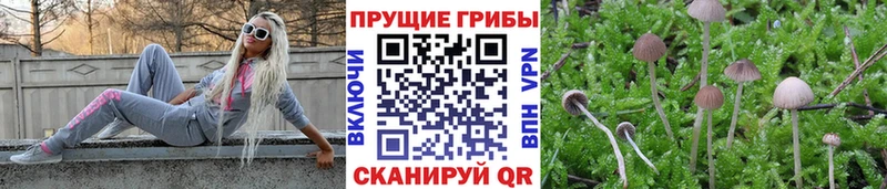 Псилоцибиновые грибы ЛСД  Азов 