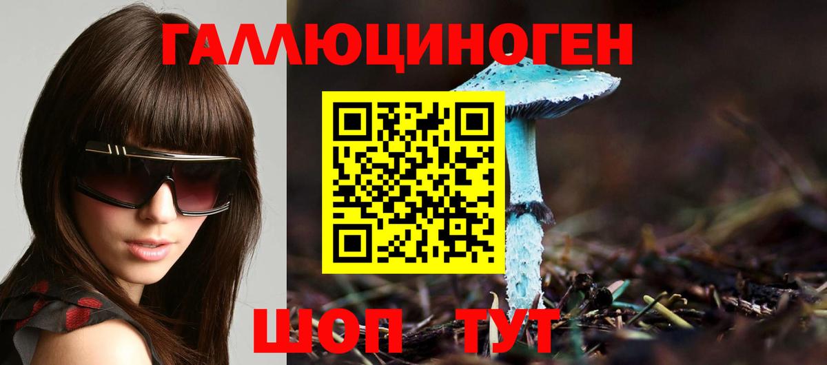 Галлюциногенные грибы мицелий Азов
